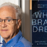 Kiddush Talk: The Science of Dreams with Bob Stickgold (in person)